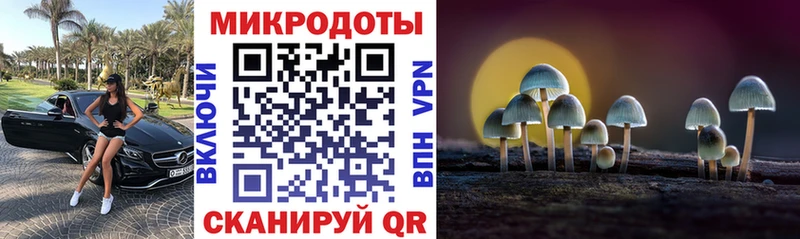 купить закладку  даркнет клад  Галлюциногенные грибы Cubensis  Заполярный 